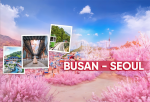 Tour Hàn Quốc: Busan - Seoul - Lotte World